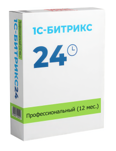 Профессиональный (12 мес.)